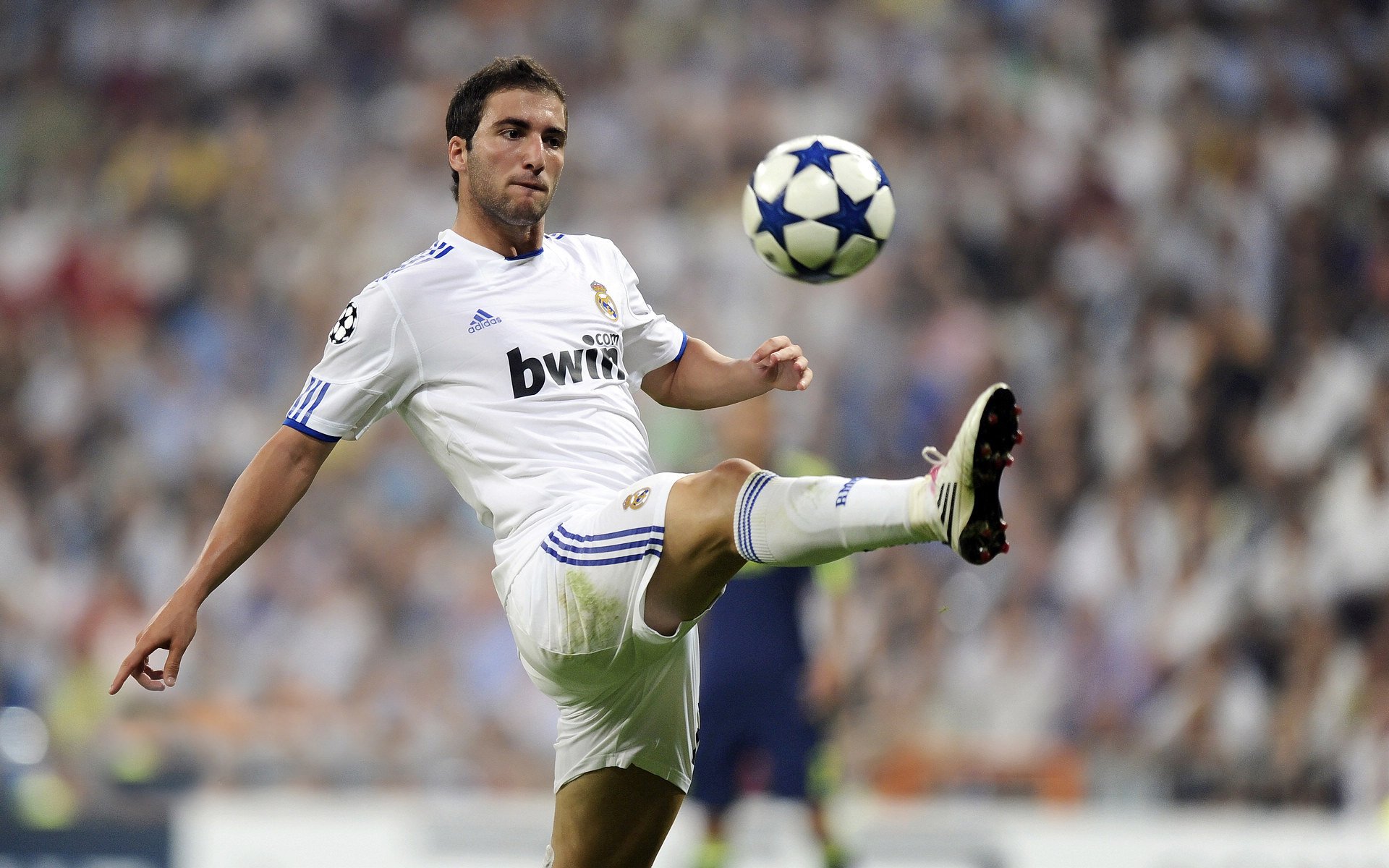 KAIYUNAPP-德甲关键战，教练点评比赛亮点，德甲冠军教练